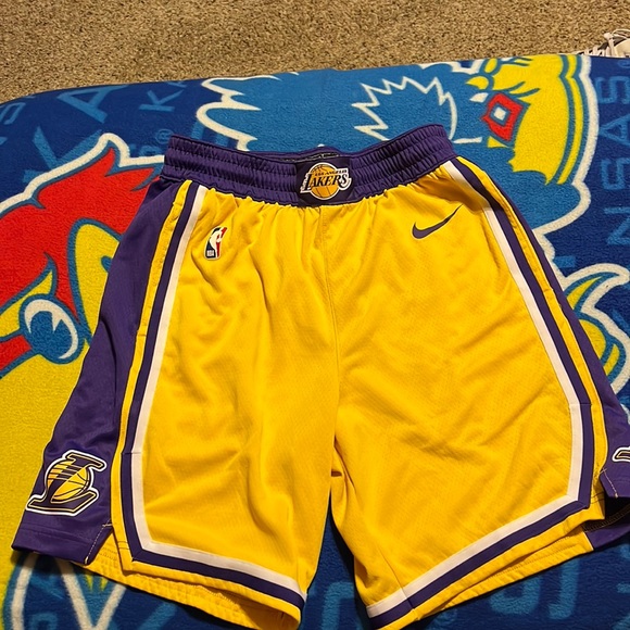 Nike Other - Nike Lakers basketball shorts (M)